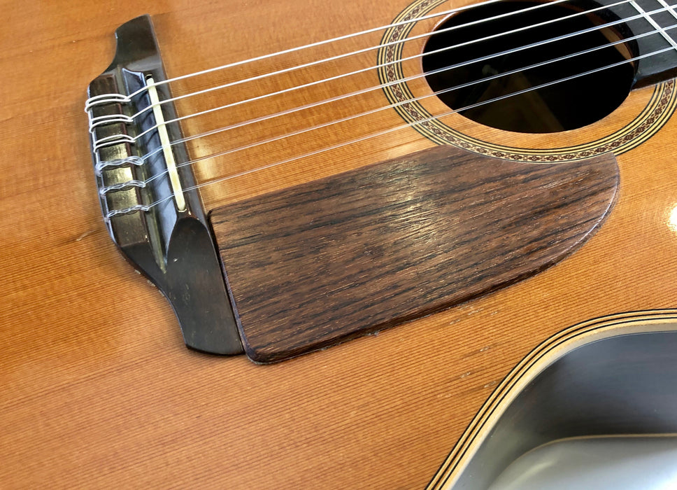 Takamine EN-65C Natural 1982