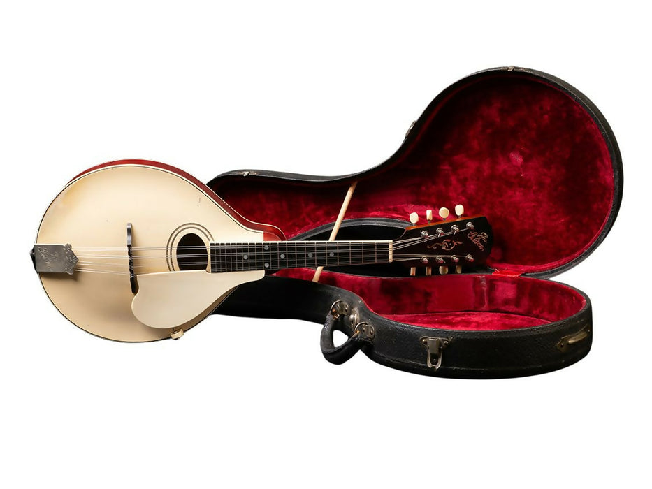 GIBSON MANDOLIN A3 - IVORY 1919