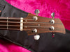 Ampeg Dan Armstrong 1971 Headstock front