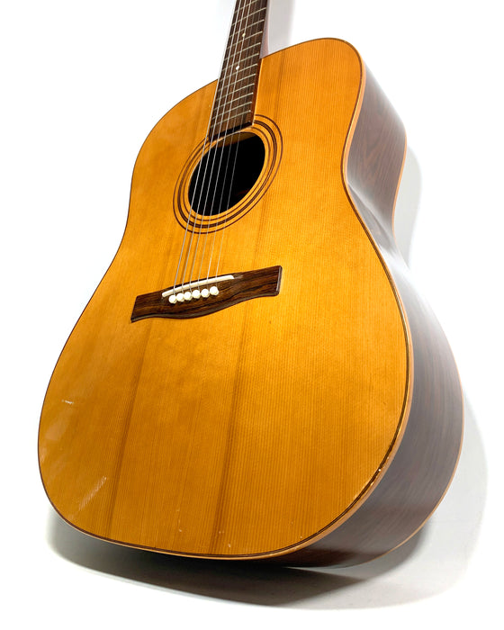 Giannini Dreadnought AWS-570 1970's