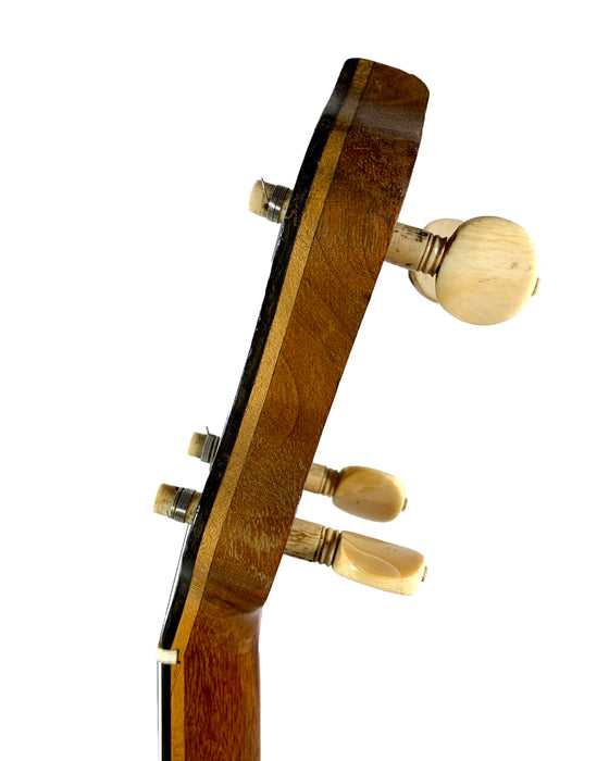 Banjo 5 Cordes W. Temlett 1890's