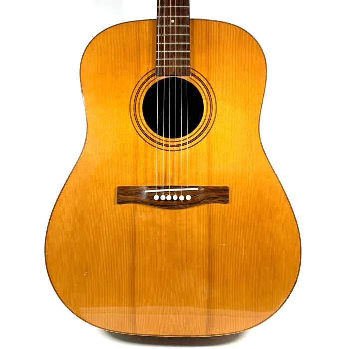 Giannini Dreadnought AWS-570 1970's