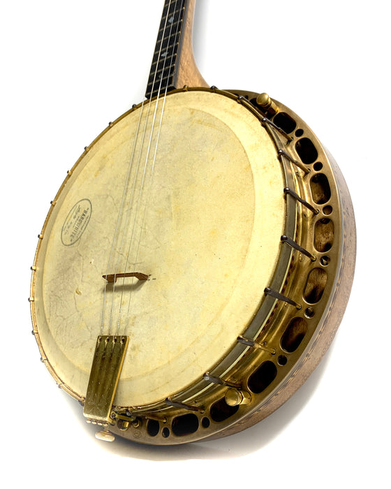 Banjo Tenor Guarnerius N°1 Gold 1910's / 1920's