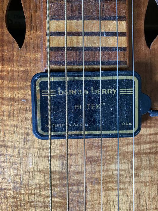 Lap Steel type Weissenborn Daniel Brauchli